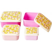 Rice Matlådor 4-pack (Palm Tree)